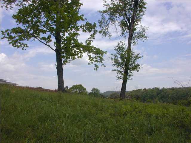 0 Dreamland Road, Unit 10A Spring City, TN 37381 - Photo 5 of 5 Additional Photo