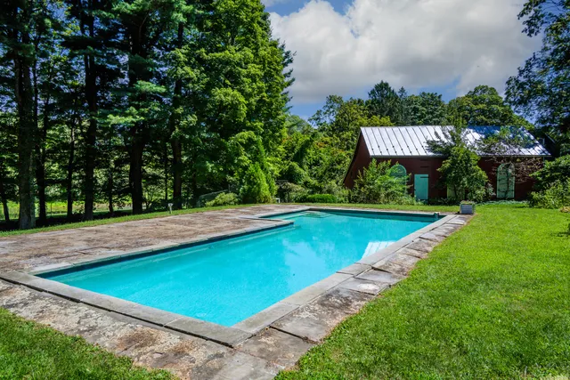 a view of a swimming pool with a yard and plants