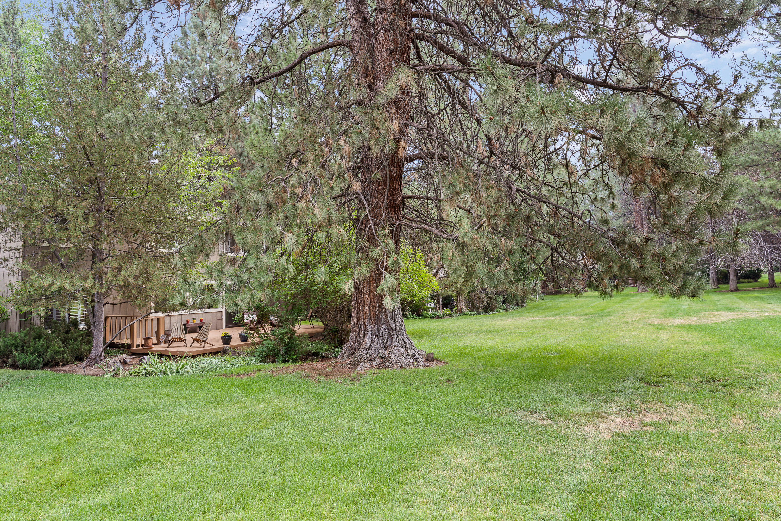 20423 Bullblock Road Bend, OR 97702 - Photo 9 of 42 DSC02698