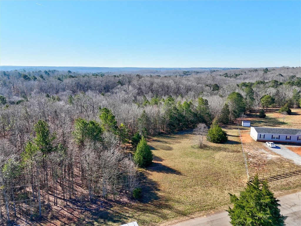 0 Generostee Church Road Starr, SC 29684 - Photo 16 of 19