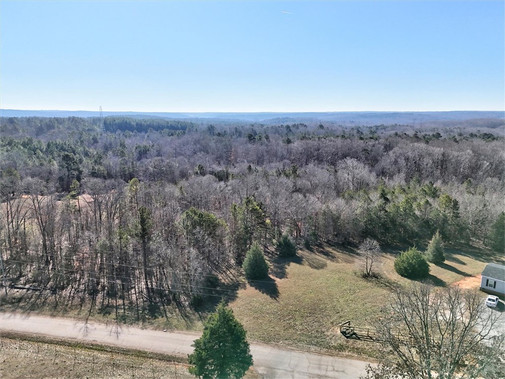 0 Generostee Church Road Starr, SC 29684 - Photo 17 of 19