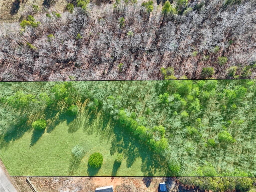 0 Generostee Church Road Starr, SC 29684 - Photo 4 of 19