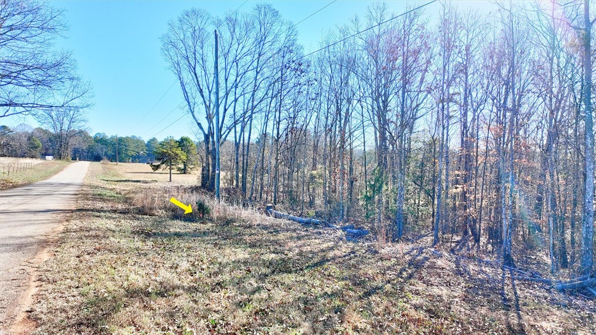 0 Generostee Church Road Starr, SC 29684 - Photo 7 of 19