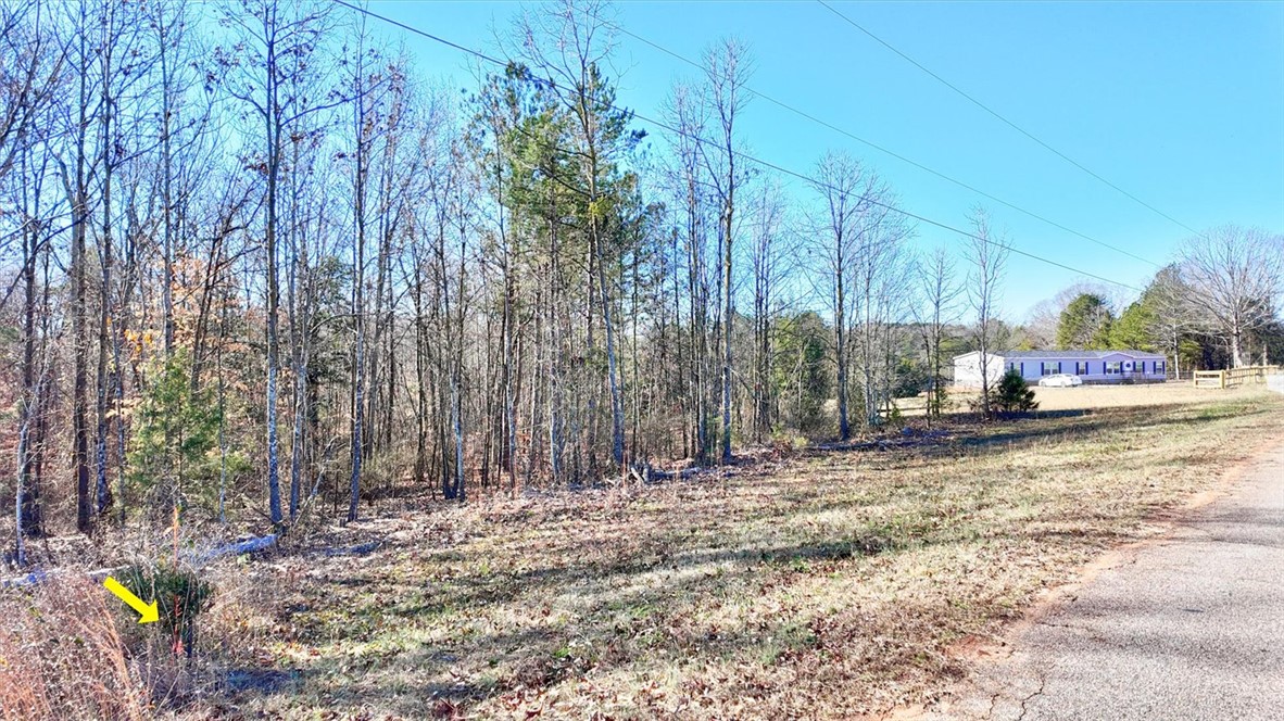 0 Generostee Church Road Starr, SC 29684 - Photo 8 of 19