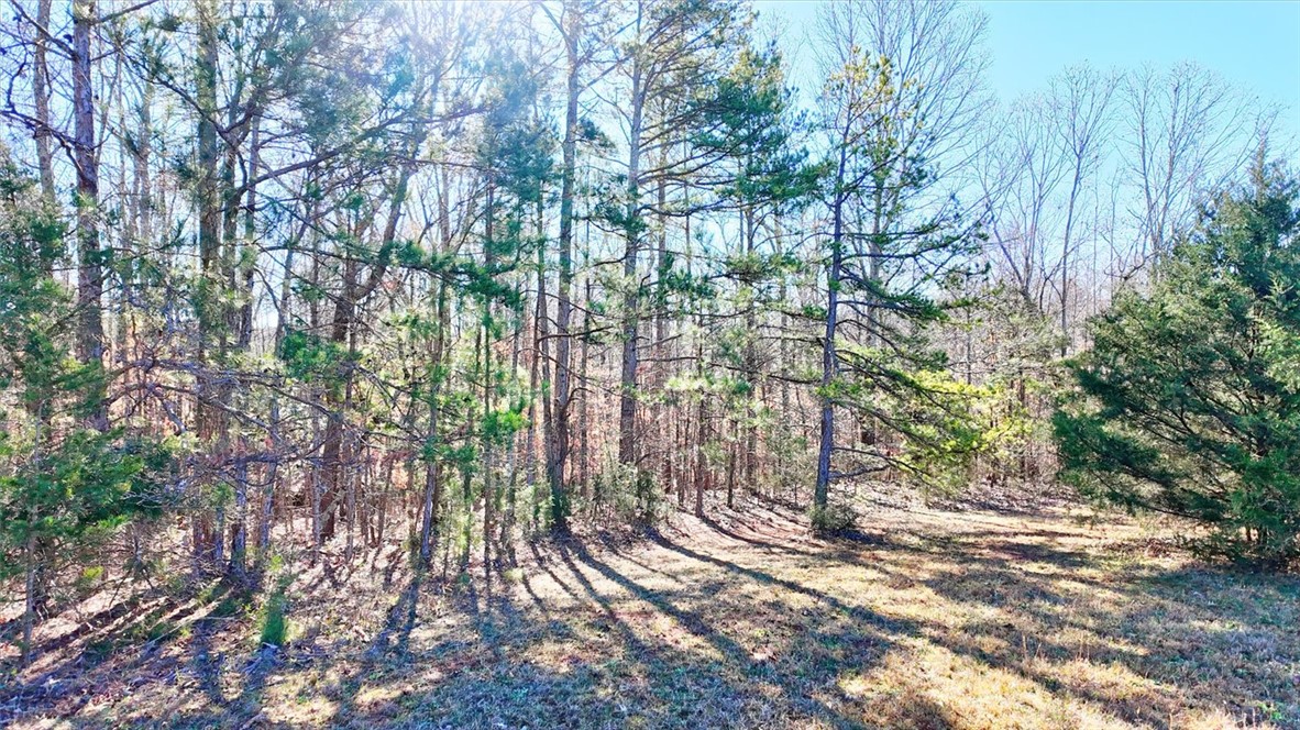 0 Generostee Church Road Starr, SC 29684 - Photo 10 of 19