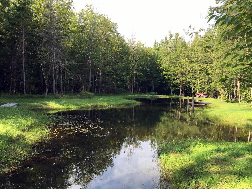 1938 Randolph Road Morristown, VT 05661 - Photo 26 of 32