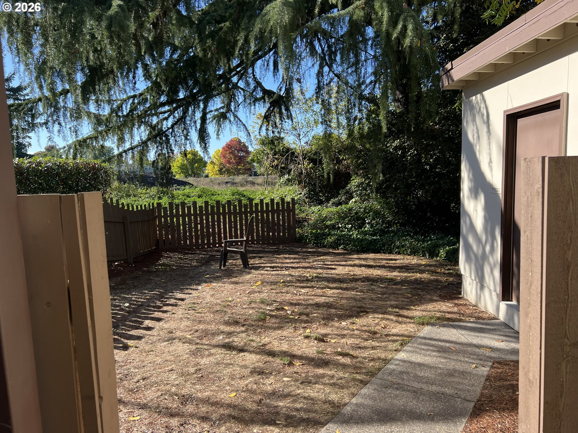 804 Northeast 2nd Street Corvallis, OR 97330 - Photo 5 of 18