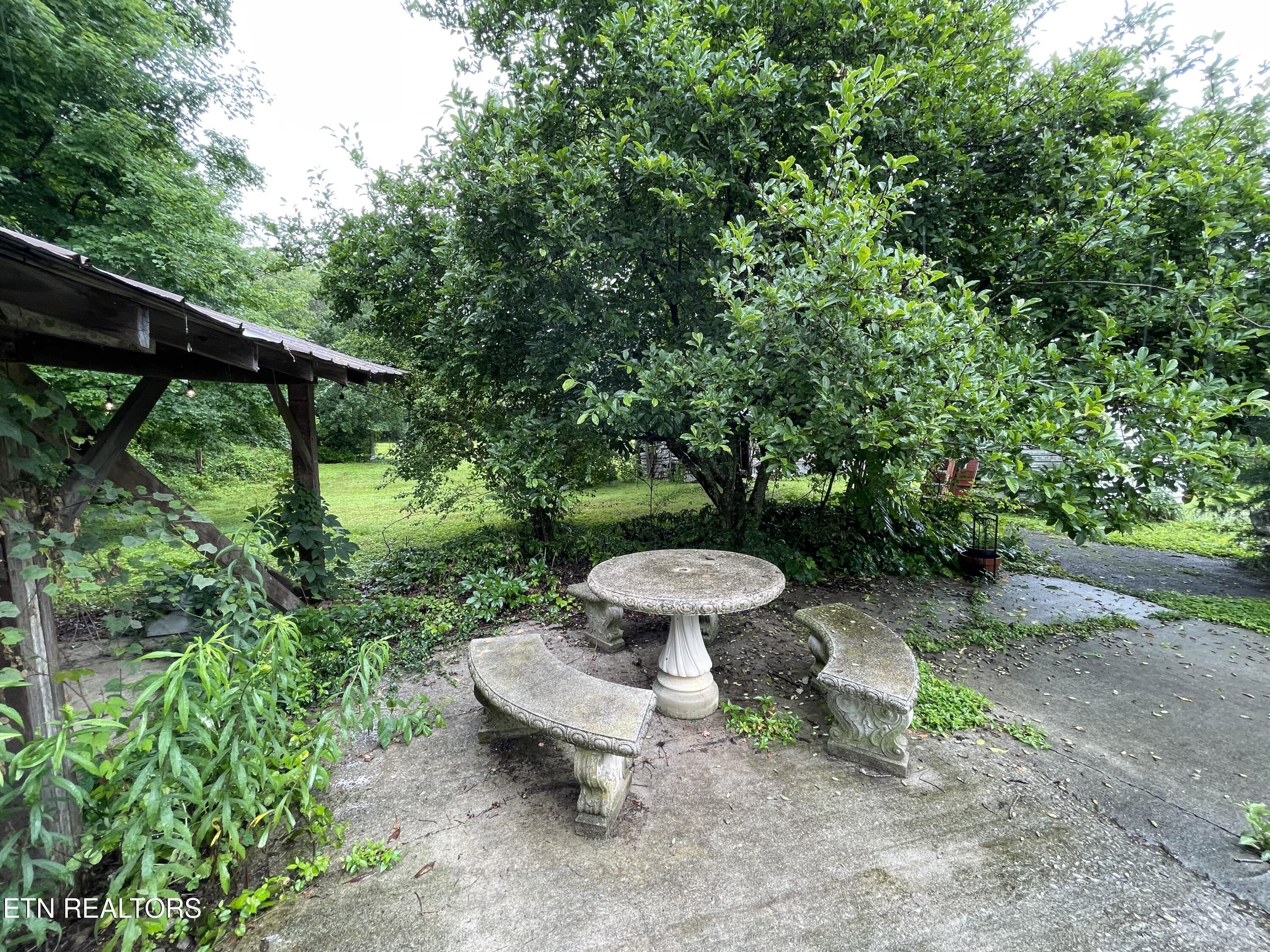 191 Walkers Ford Road Maynardville, TN 37807 - Photo 22 of 25 IMG_6082