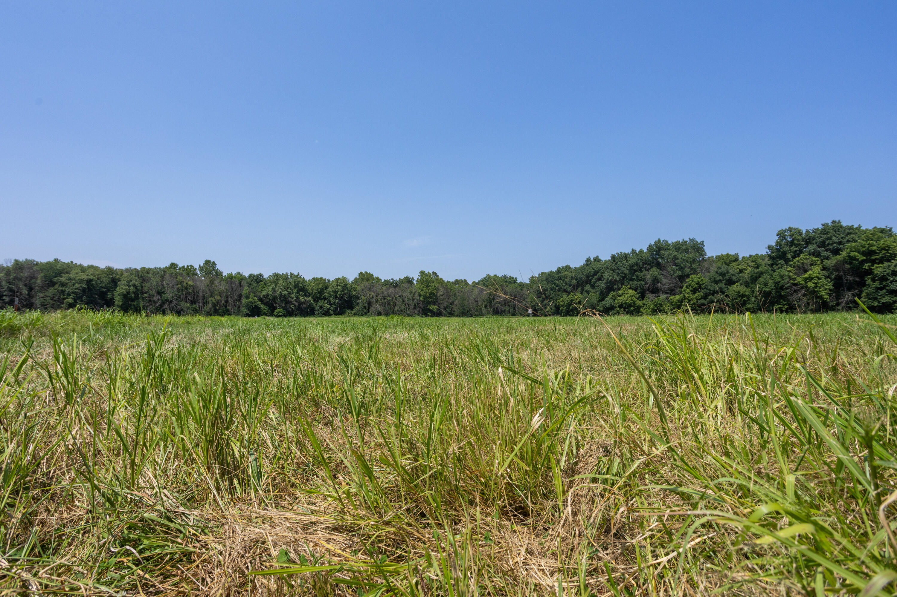 1059 Northeast 100th Road Lamar, MO 64759 - Photo 100 of 119 Barton290(MLSRES)-36