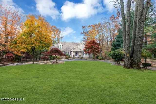 a view of a park with large trees