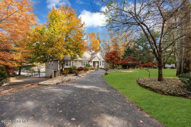 a view of a park with large trees