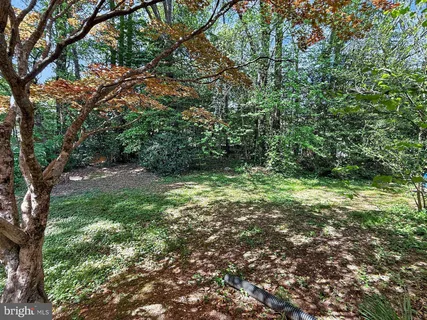 a big yard with lots of green space and house in the back