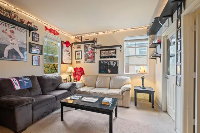 a living room with furniture and a rug