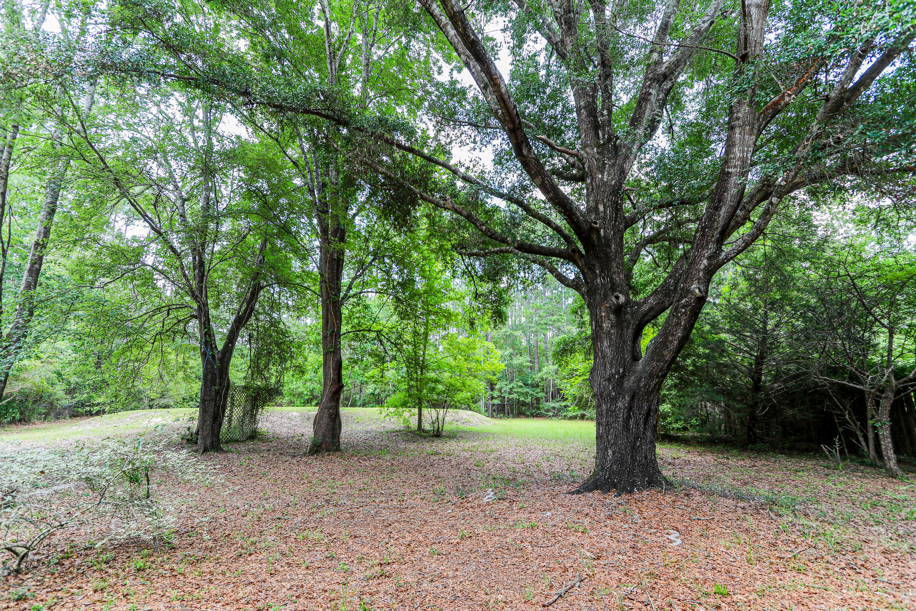 30 Creekside Waterview Place Freeport, FL 32439 - Photo 41 of 48 Yard