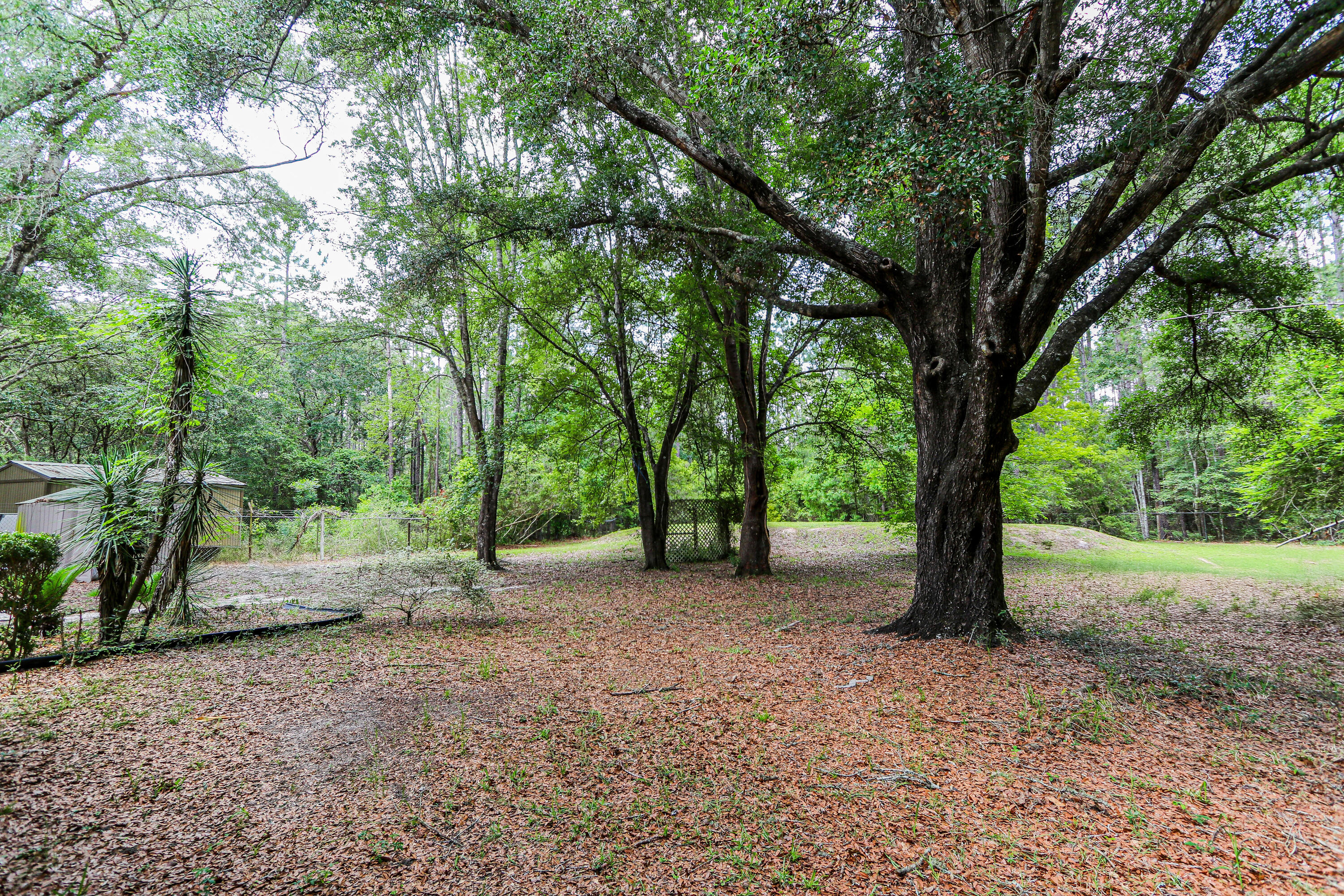 30 Creekside Waterview Place Freeport, FL 32439 - Photo 42 of 48 Yard