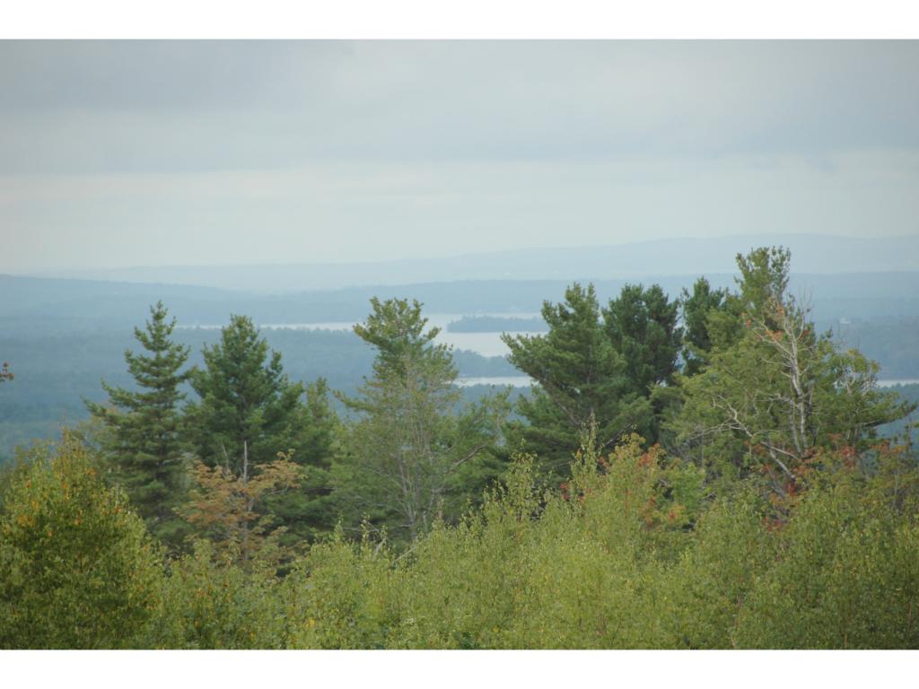 9 Winners Circle Farm Road Tuftonboro, NH 03816 - Photo 4 of 17 Gallery Image 4