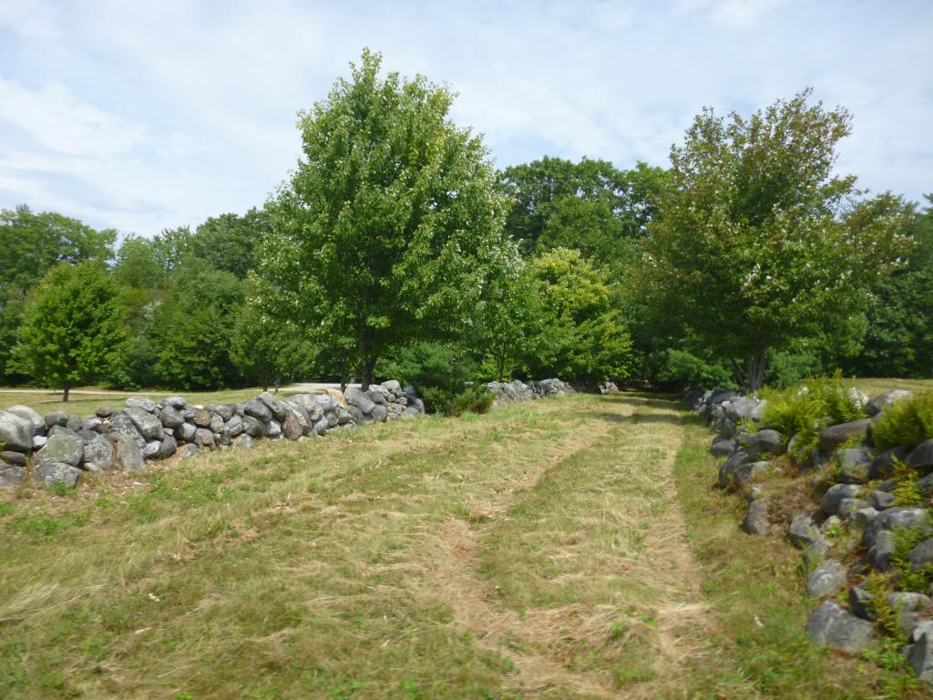 9 Winners Circle Farm Road Tuftonboro, NH 03816 - Photo 6 of 17 Gallery Image 6