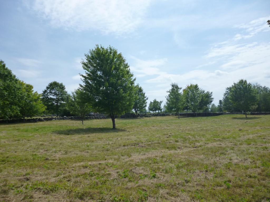 9 Winners Circle Farm Road Tuftonboro, NH 03816 - Photo 9 of 17 Gallery Image 9