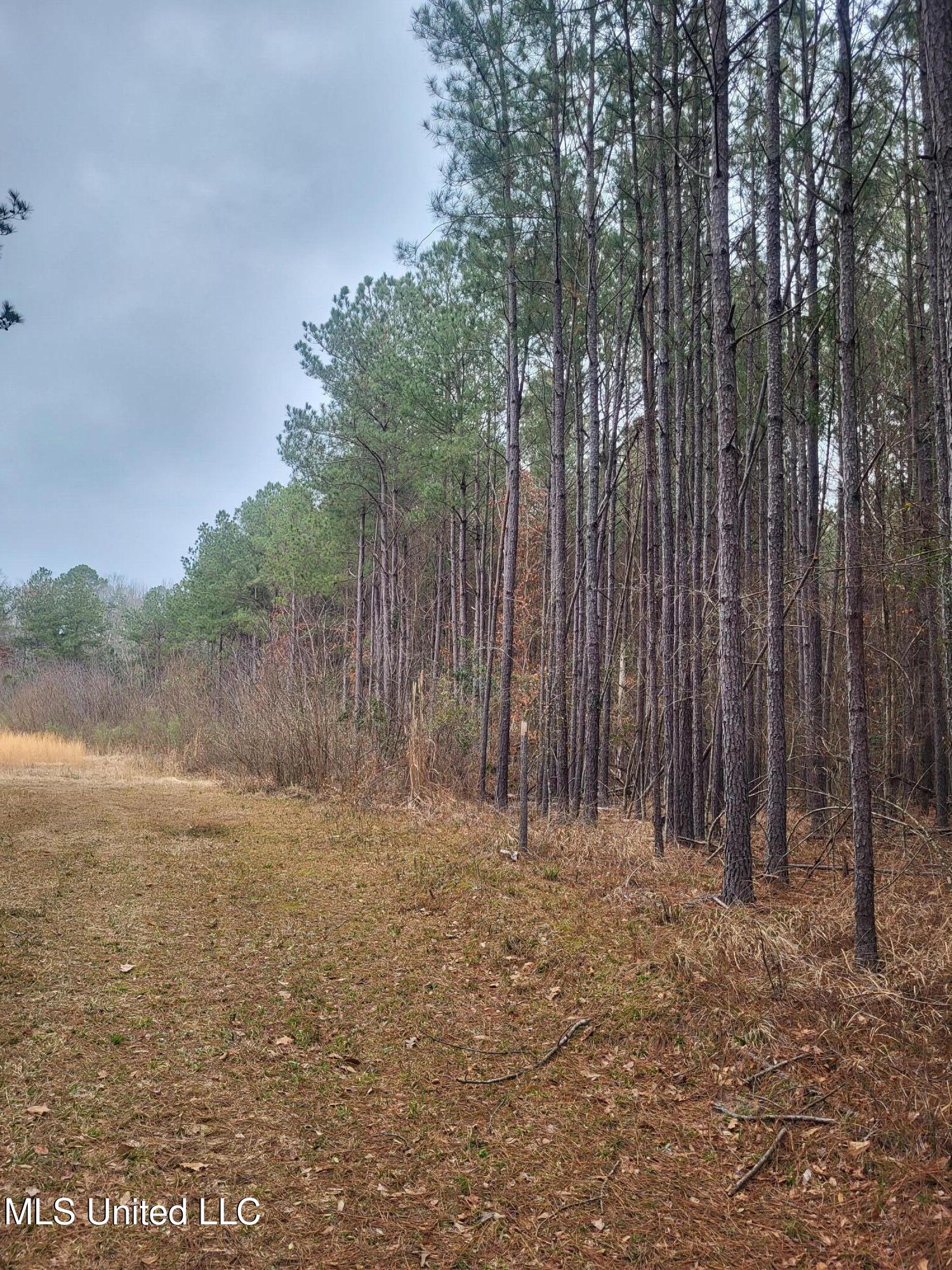 0 Monterey Road Pearl, MS 39208 - Photo 5 of 5 20250211_084009