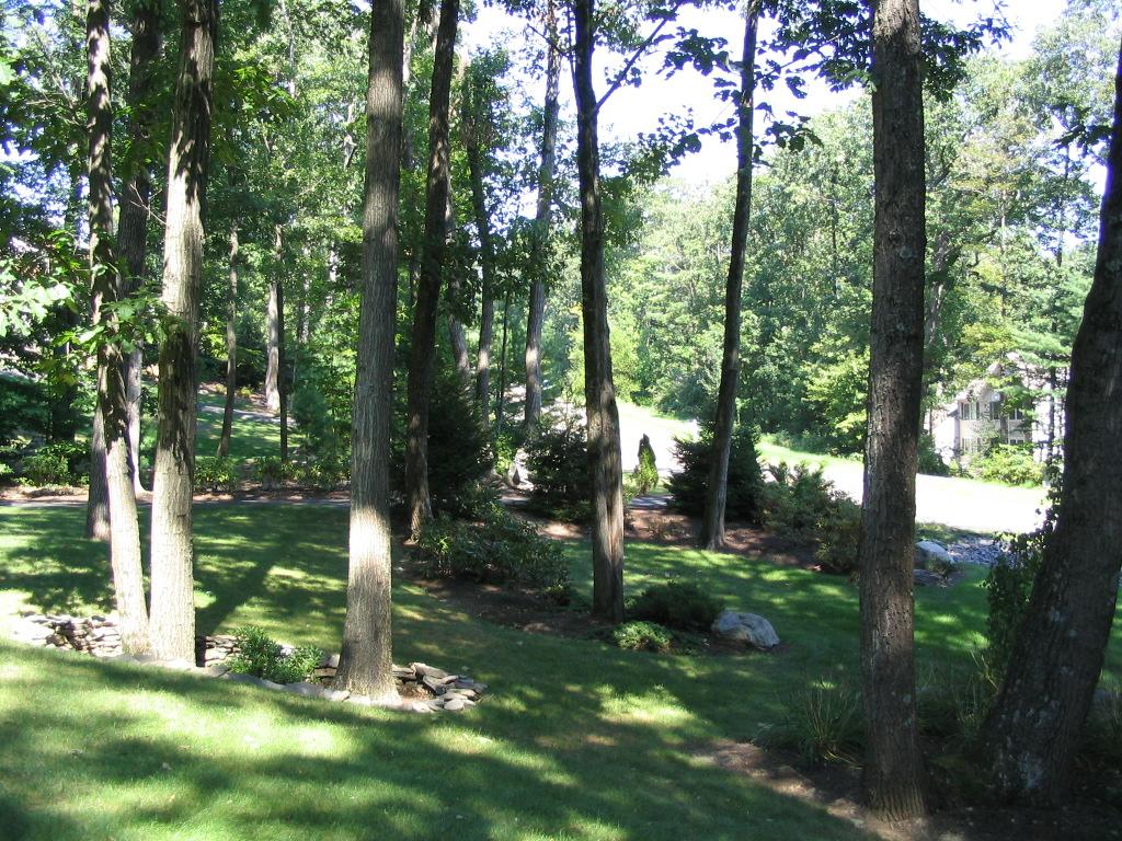 106 Kelly Road Stroudsburg, PA 18360 - Photo 3 of 18 a view of a tree in a yard
