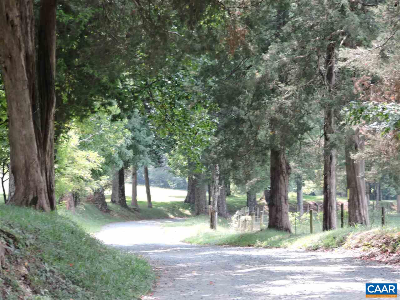 Frys Path Esmont, VA 22937 - Photo 11 of 31 a view of a yard in front of a house with large trees