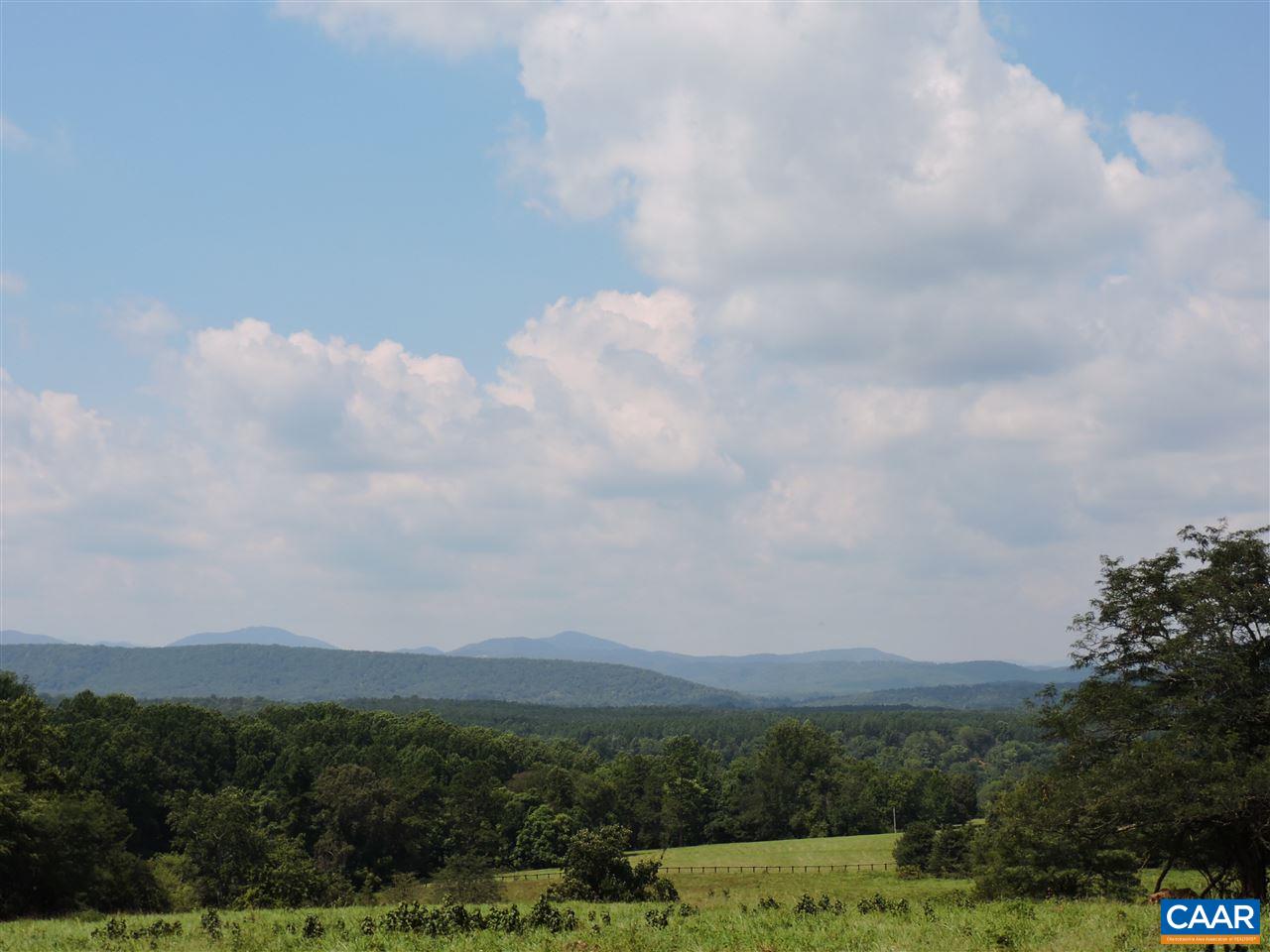 Frys Path Esmont, VA 22937 - Photo 22 of 31 a view of a bunch of trees in a field