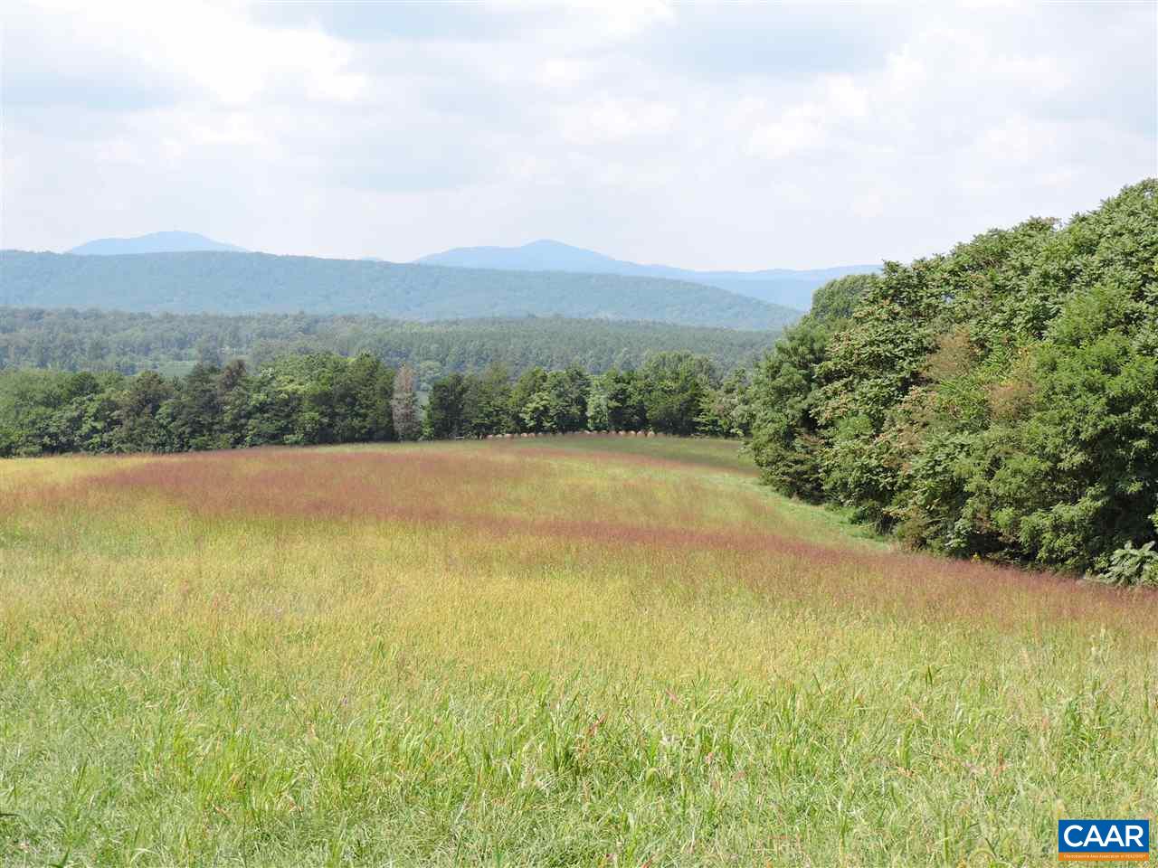 Frys Path Esmont, VA 22937 - Photo 30 of 31 a view of an outdoor space and a yard
