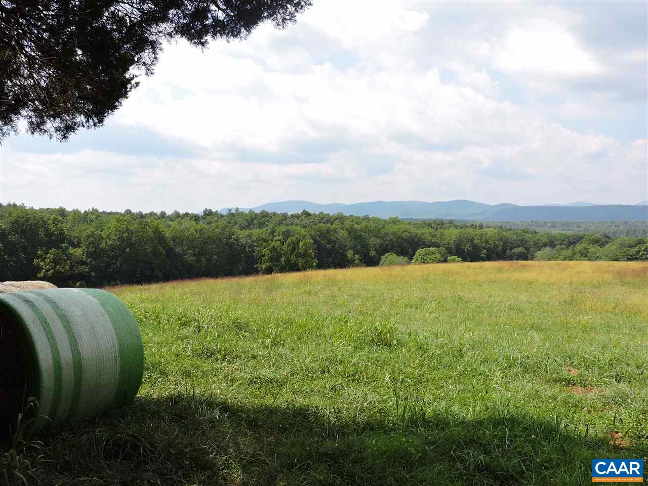 Frys Path Esmont, VA 22937 - Photo 8 of 31