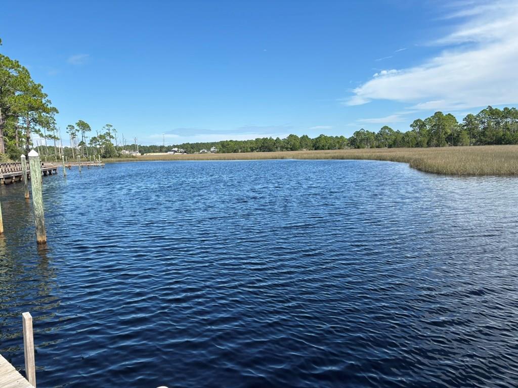 513 Shellys Loop Road Carrabelle, FL 32322 - Photo 1 of 53