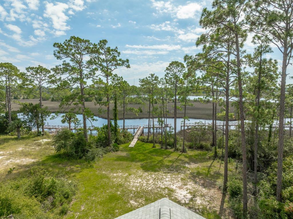 513 Shellys Loop Road Carrabelle, FL 32322 - Photo 4 of 53