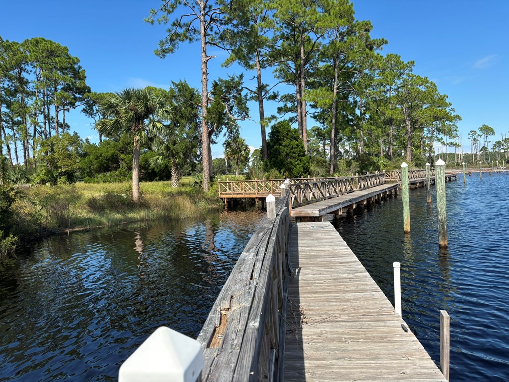 513 Shellys Loop Road Carrabelle, FL 32322 - Photo 8 of 53