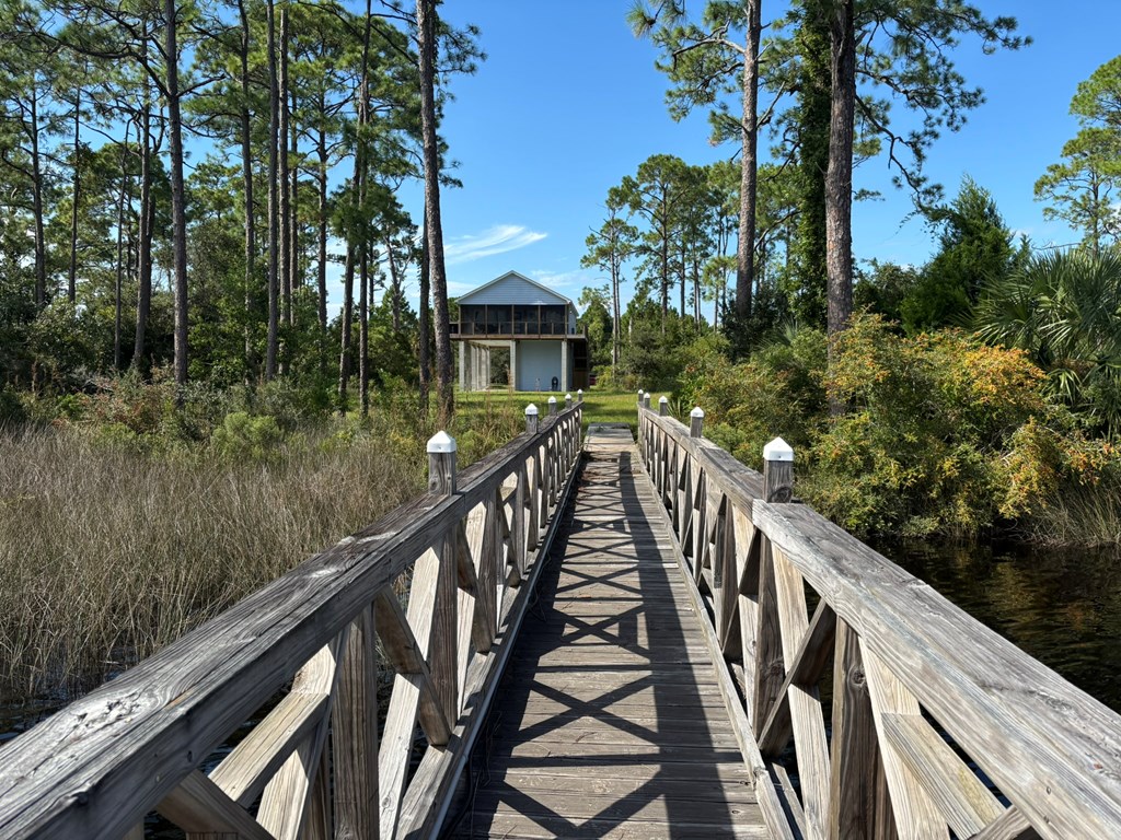 513 Shellys Loop Road Carrabelle, FL 32322 - Photo 9 of 53