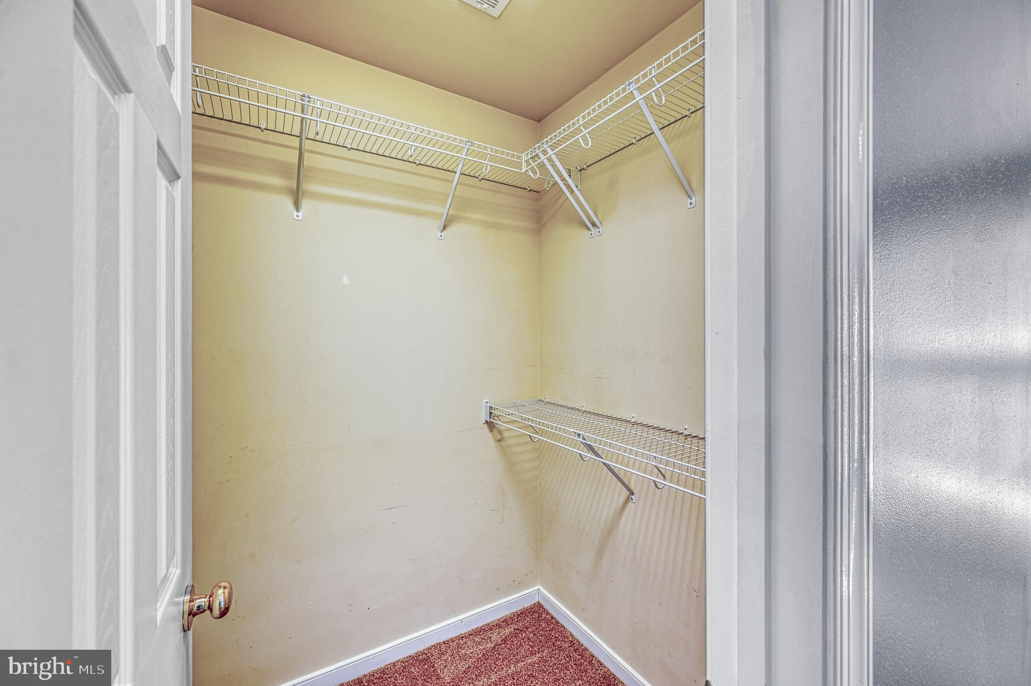 343 Cardinal Road Louisa, VA 23093 - Photo 23 of 48 a view of walk in closet