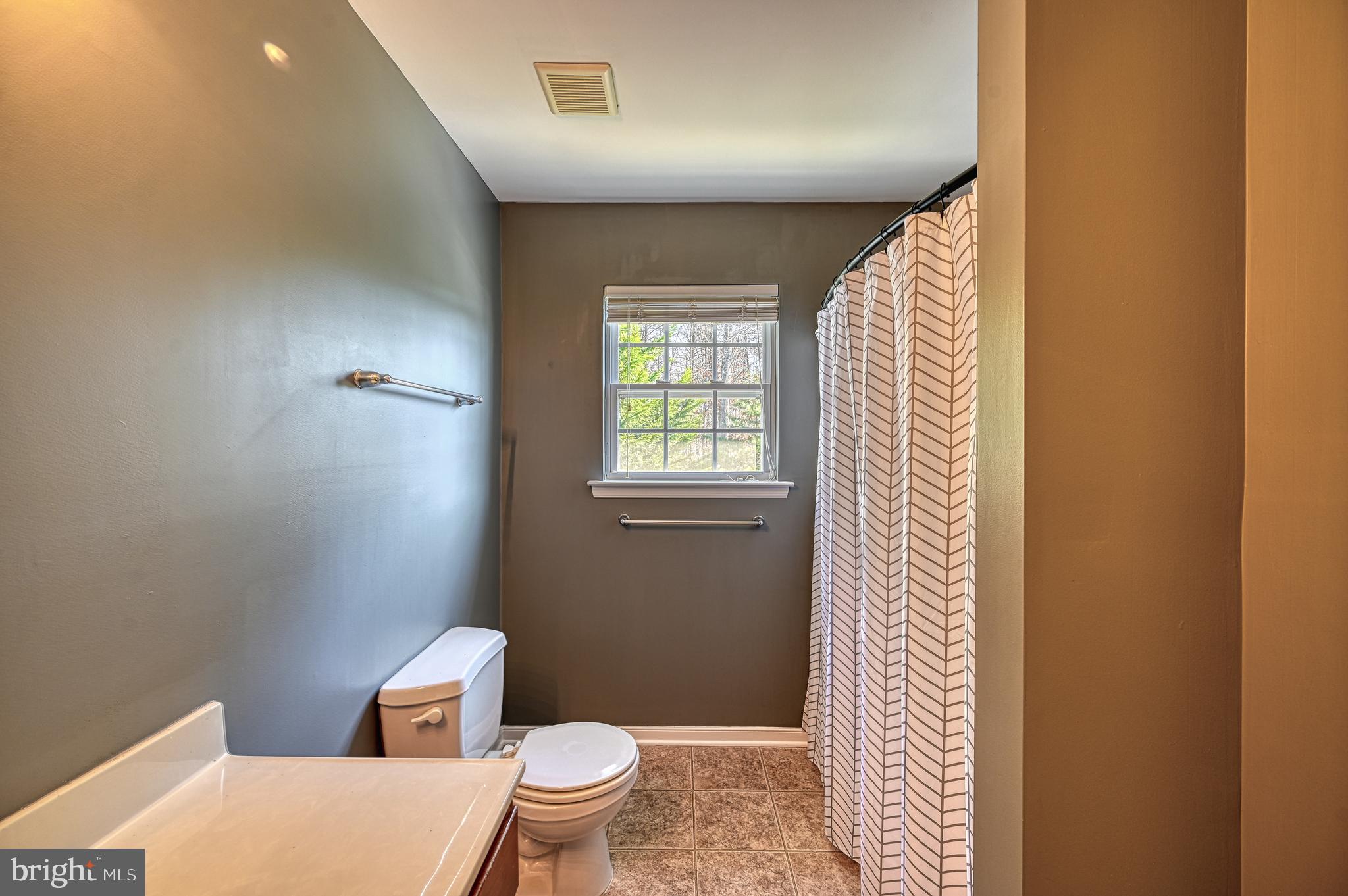 343 Cardinal Road Louisa, VA 23093 - Photo 36 of 48 a bathroom with a toilet a sink and a mirror
