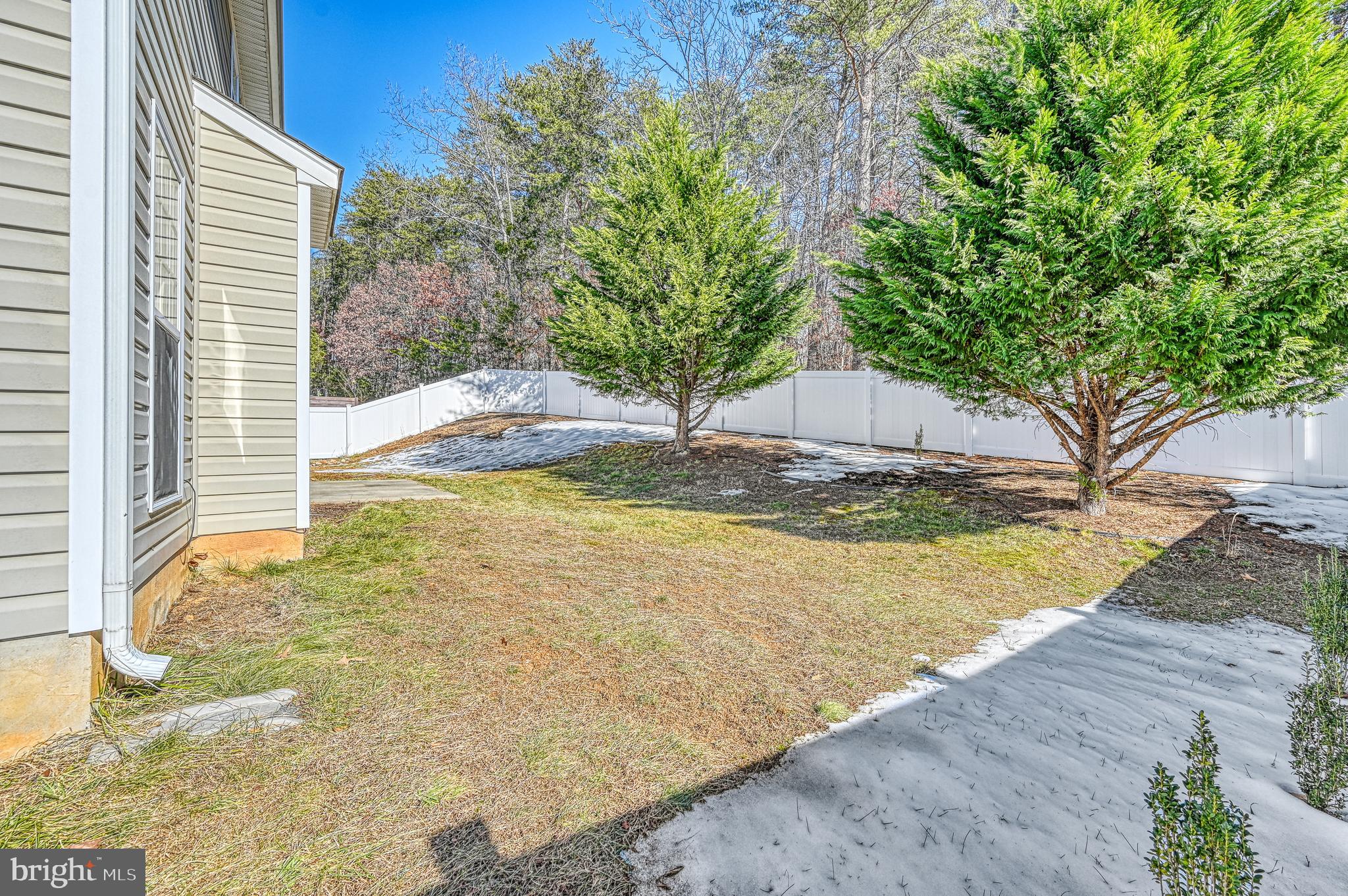 343 Cardinal Road Louisa, VA 23093 - Photo 46 of 48 a view of outdoor space and yard