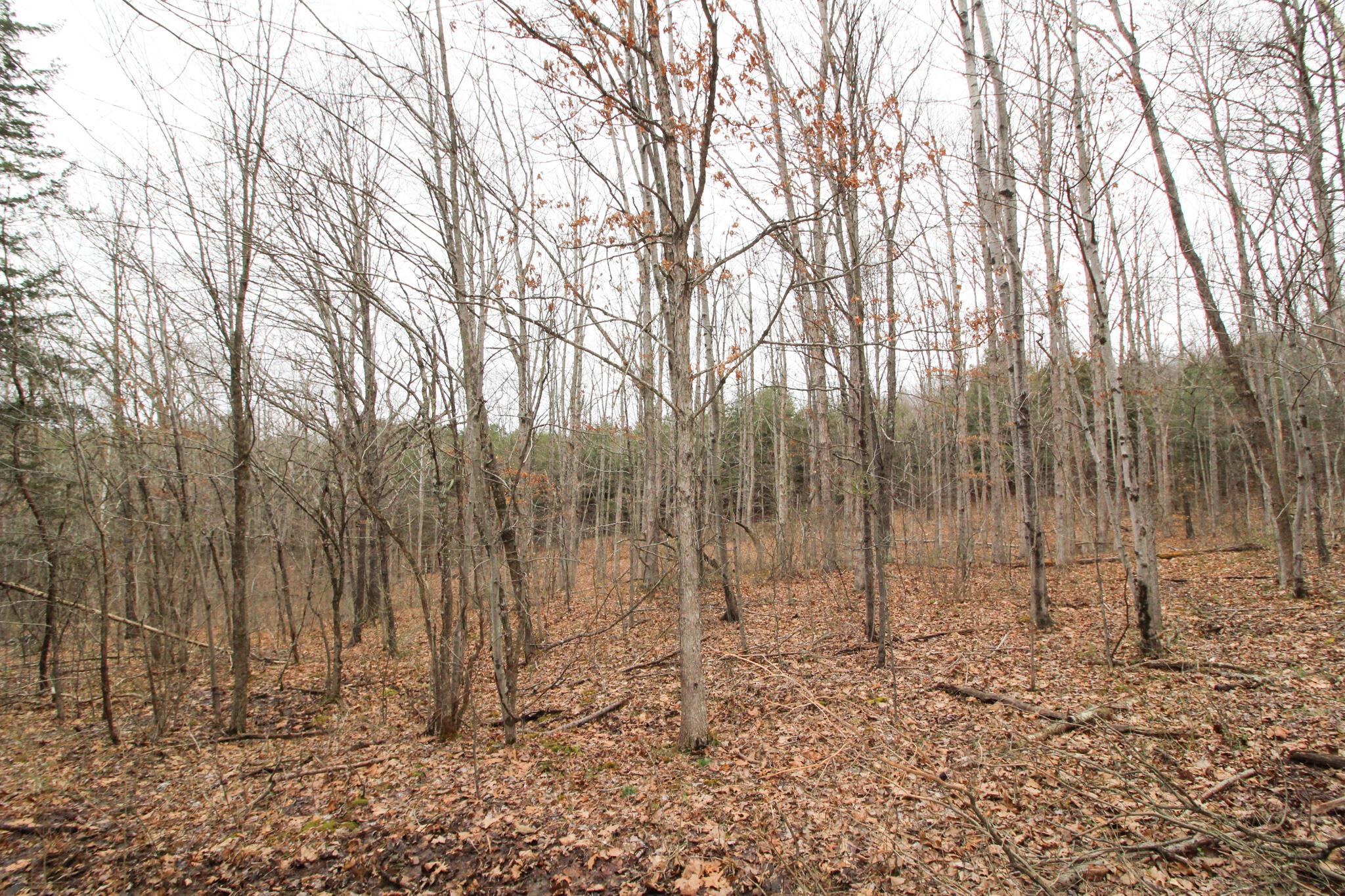 14630 Robinson Road Amesville, OH 45711 - Photo 32 of 39 IMG_4006