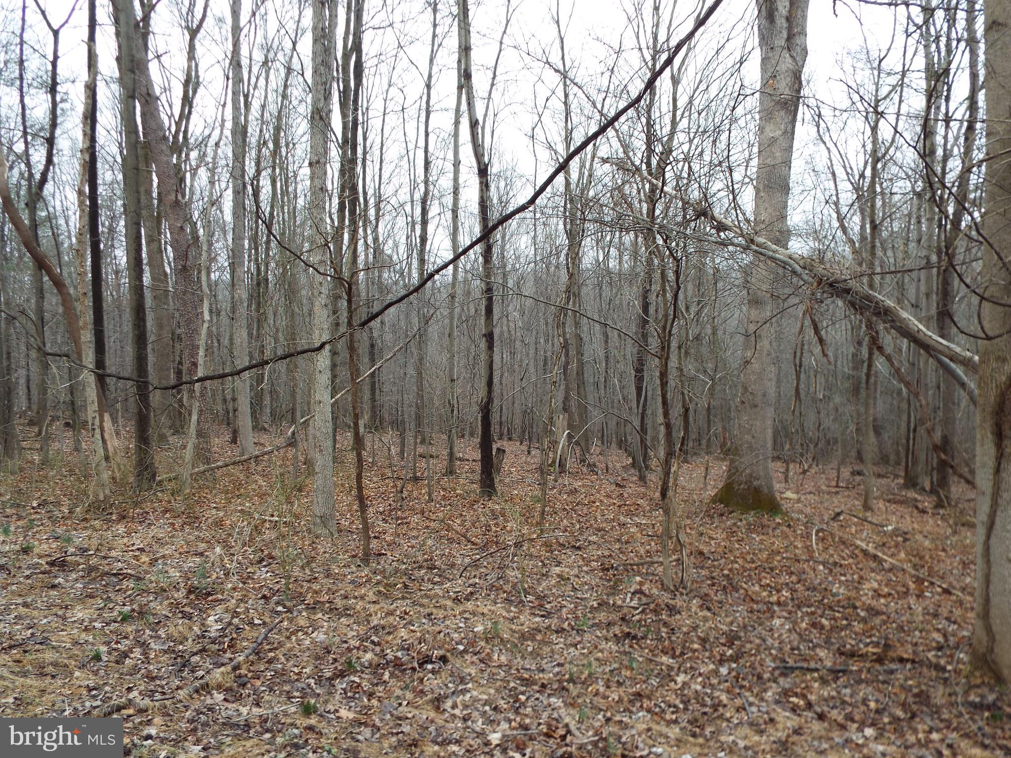 507 Sugar Run Road Millerstown, PA 17062 - Photo 3 of 13 Gallery Image 3