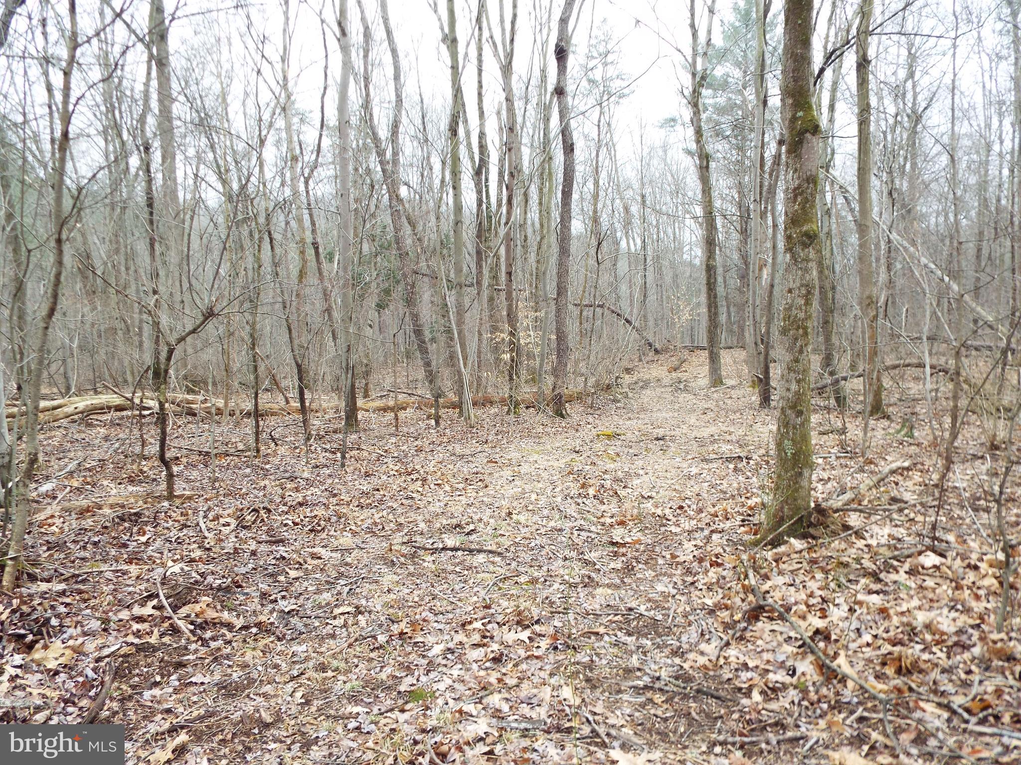 507 Sugar Run Road Millerstown, PA 17062 - Photo 5 of 13 Gallery Image 5