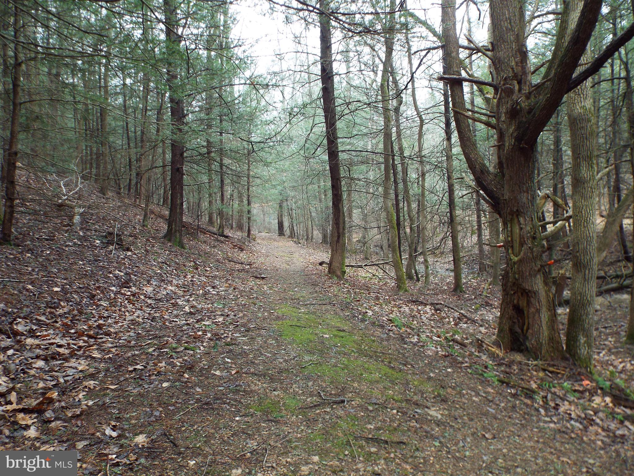 507 Sugar Run Road Millerstown, PA 17062 - Photo 10 of 13 Gallery Image 10