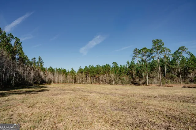 a view of dirt field with trees in background