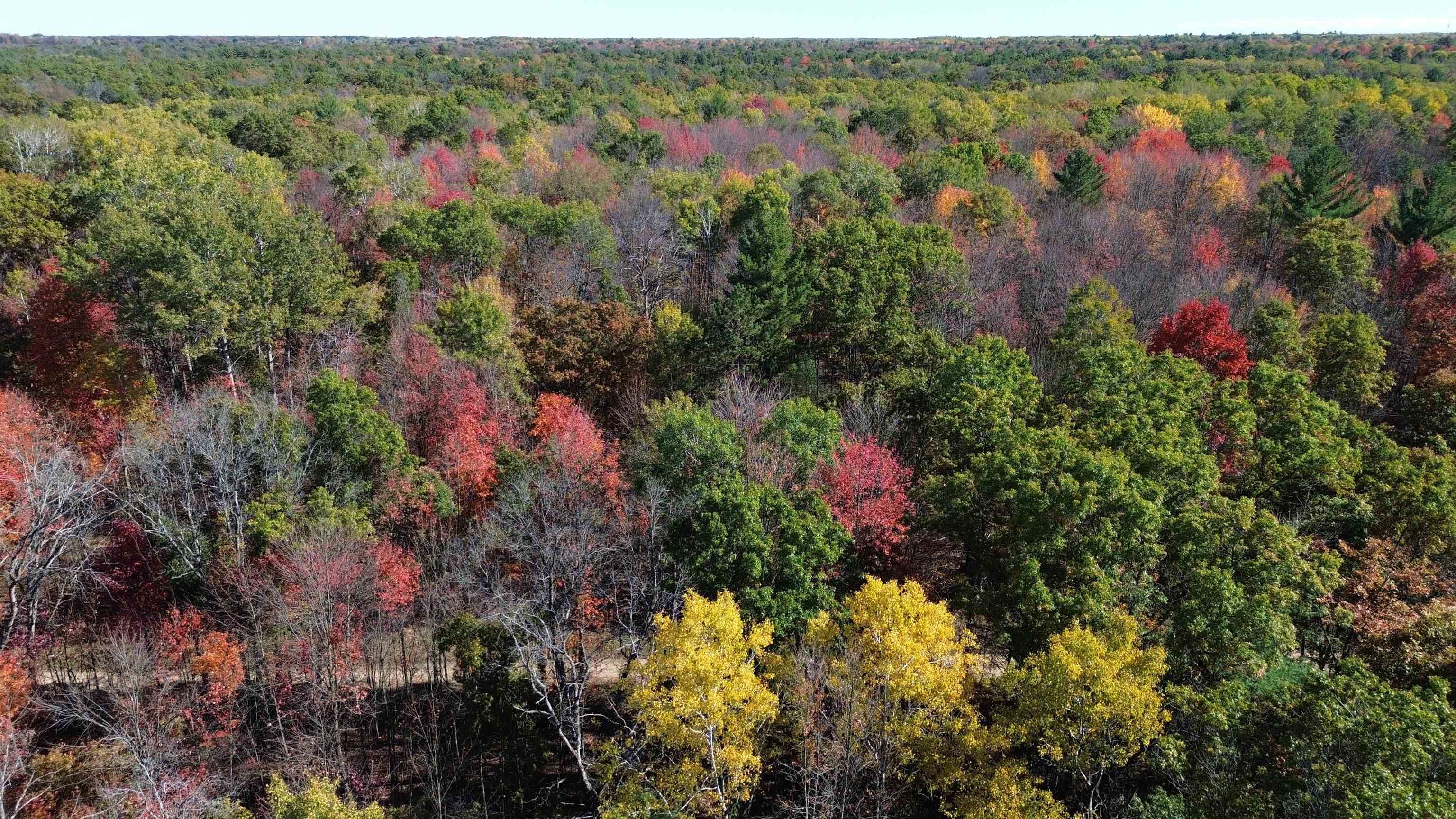 0 Timber Trail Prescott, MI 48756 - Photo 26 of 44