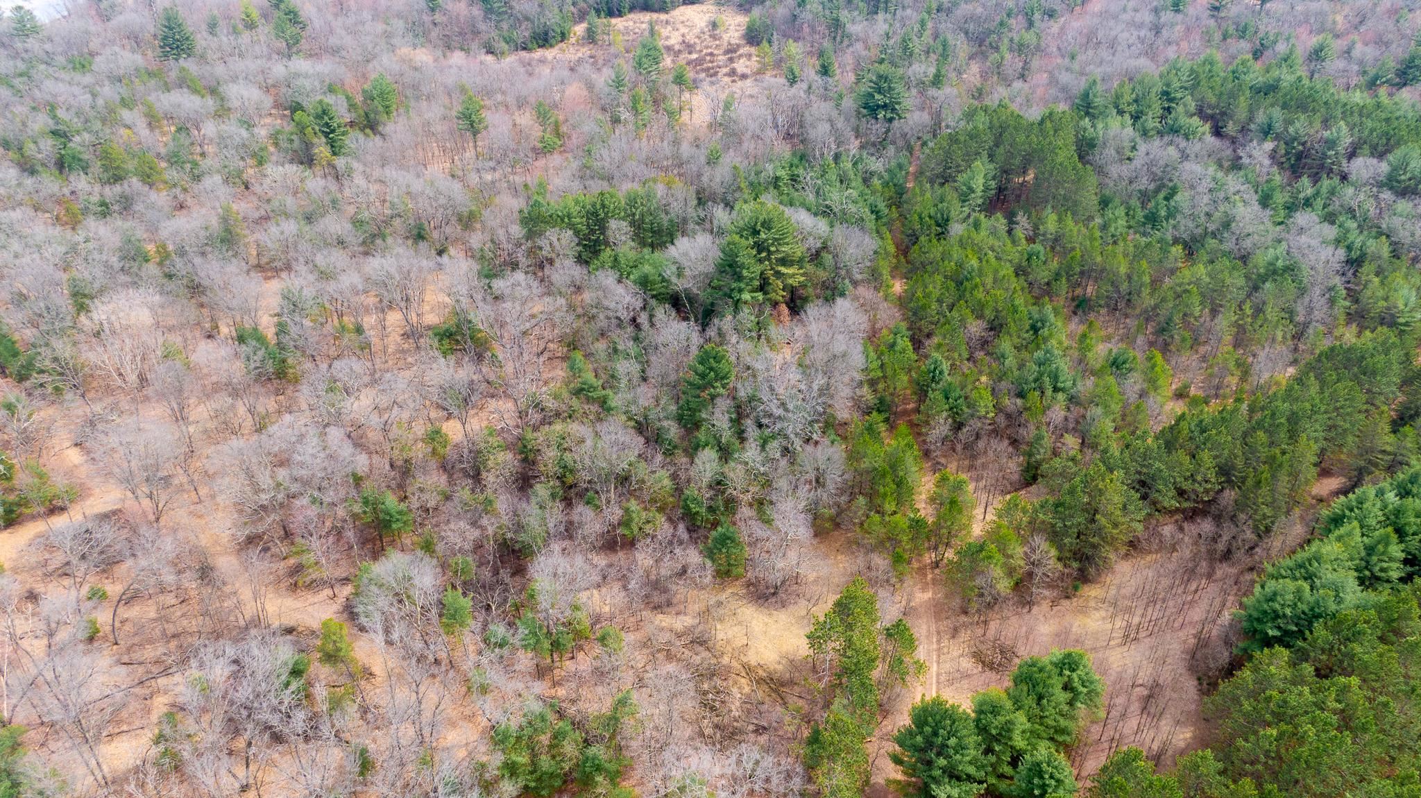 Lot 2-43 Ac Dover Adams, WI 53910 - Photo 5 of 32