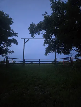 a view of yard with green space