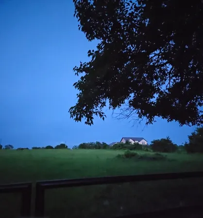 a view of a green field with a tree