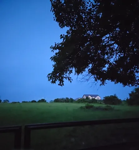 a view of a green field with a tree