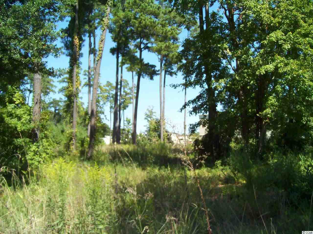 1356 Dividend Loop Myrtle Beach, SC 29577 - Photo 14 of 14 Gallery Image 14
