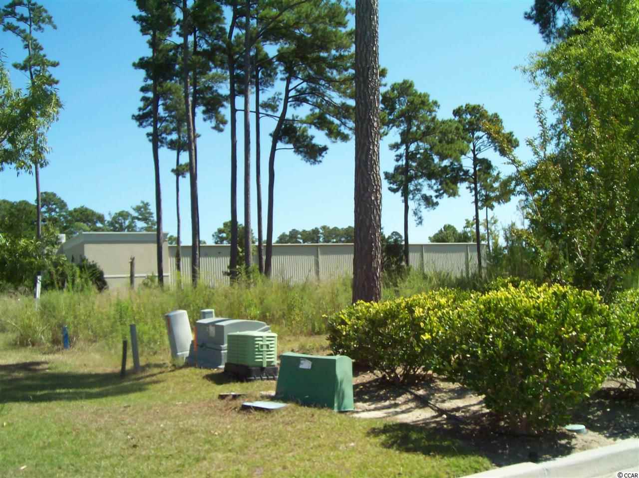 1356 Dividend Loop Myrtle Beach, SC 29577 - Photo 3 of 14 Gallery Image 3
