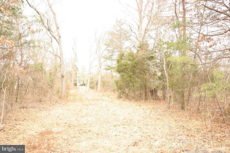 12225 Braddock Road Fairfax, VA 22030 - Photo 1 of 1 wooded lot