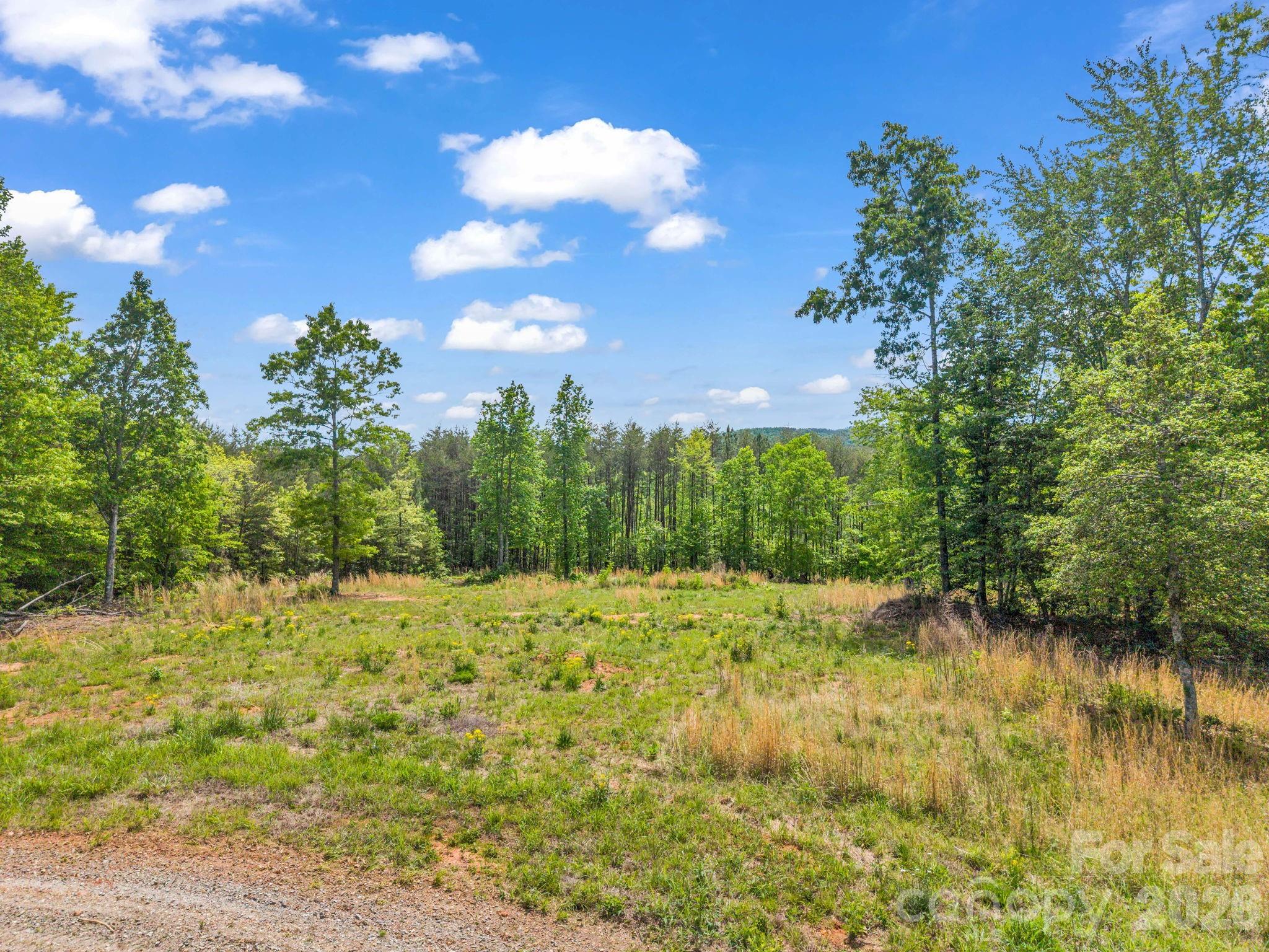 0 Romey Campbell Road Ellenboro, NC 28040 - Photo 23 of 41