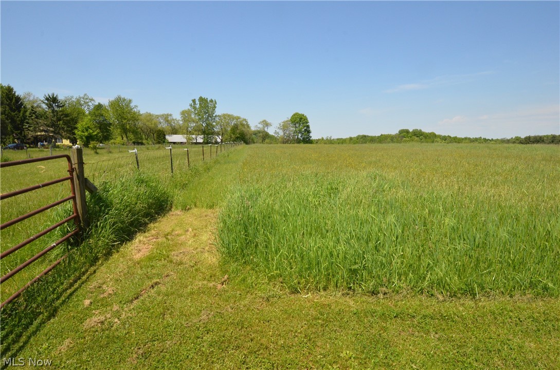 1105 Remsen Road Medina, OH 44256 - Photo 25 of 34